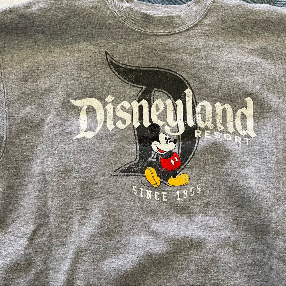 Disneyland Light Grey Crew neck Sweatshirt Women Size Small - Picture 2 of 5
